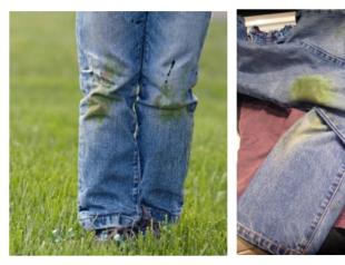 Как выводить пятна от травы с одежды Чем можно удалить пятна от травы